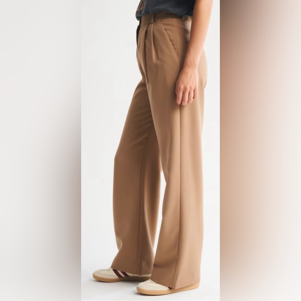 Abercrombie & Fitch Sloane Wide-Leg Trouser/Pants in Brown/Camel Size 28/6R NWT - Picture 3 of 9
